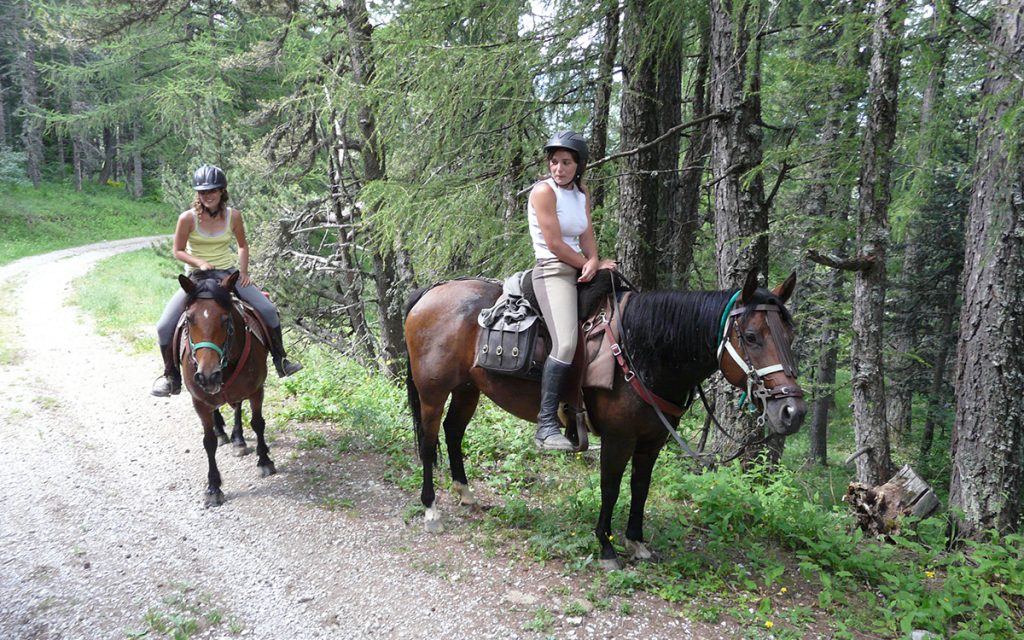 rando cheval journee