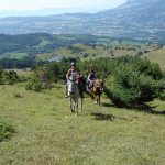 le Champsaur à cheval