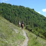 à cheval dans le champsaur