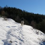 Corréo dans la neige