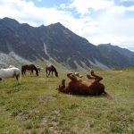 Col Agnel