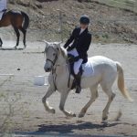 Dressage