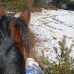 Le Buëch sous la neige