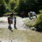 Le parc des Baronnies provençales