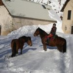 Matacharre dans la neige