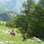 hautes alpes à cheval