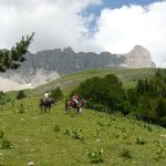 à cheval dans les hautes-alpes