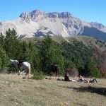 massif d'aurouze