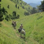 Col d'Aune