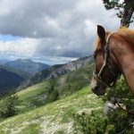 Vue sur les montagnes