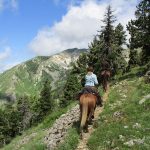 Montée du col de Plate Contier