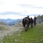 les aiguilles la jarjatte