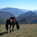 Vallée du Buëch