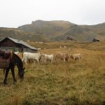 Queyras chalets de Furfande