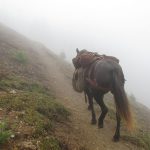 Queyras au-dessus de Ceillac