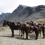 Queyras col de Chamoussière