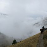 Queyras poste optique