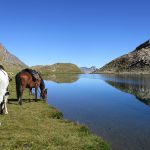 Queyras reflet lac Foréant