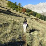 Bure automne
