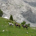Alpage du lac