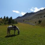 la clarée à cheval