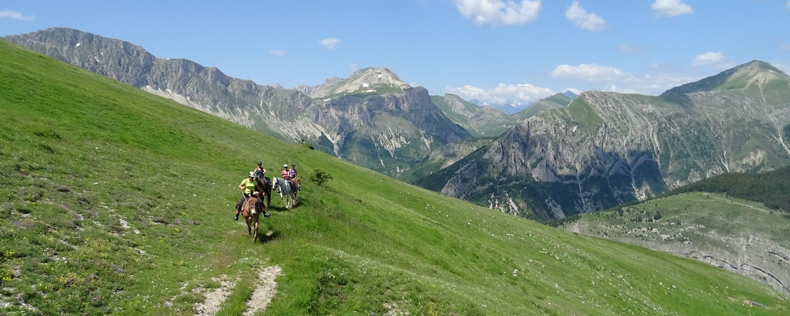 La Roche des Arnauds