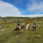 Le Buëch à cheval