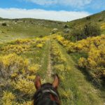 Le Buëch à cheval