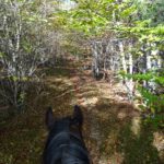 Le Buëch à cheval